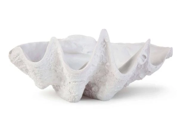 Regina Andrew Detroit Bimini Clam Bowl New Arrivals 1 Regina Andrew Detroit Bimini Clam Bowl New Arrivals