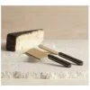 Faire Mondrian Cheese Tools, Set Of 2