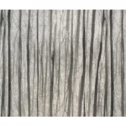 Lee Industries New Arrivals Branches Ash Pillow