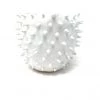 Kennicott Brothers Cacti Pot 7.25: X 6.5" White